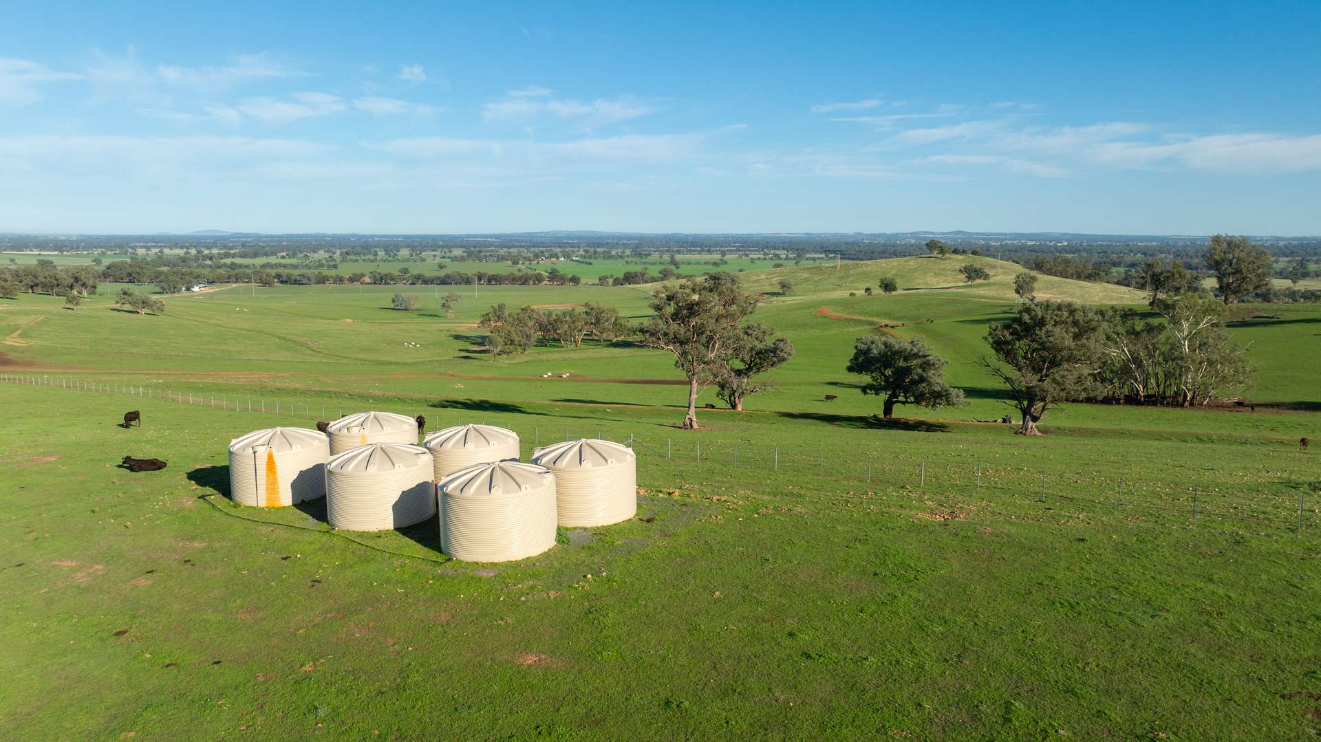 1948 Coach Road, Morven For Sale by Farmbuy.com - image 31