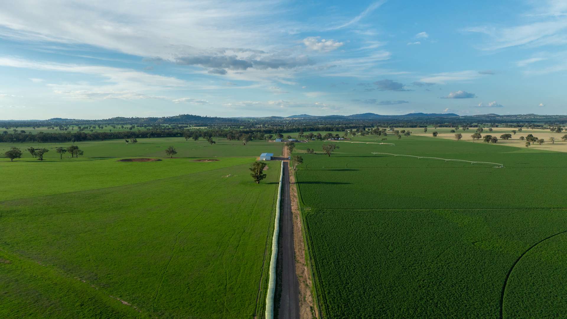 1948 Coach Road, Morven For Sale by Farmbuy.com - image 22