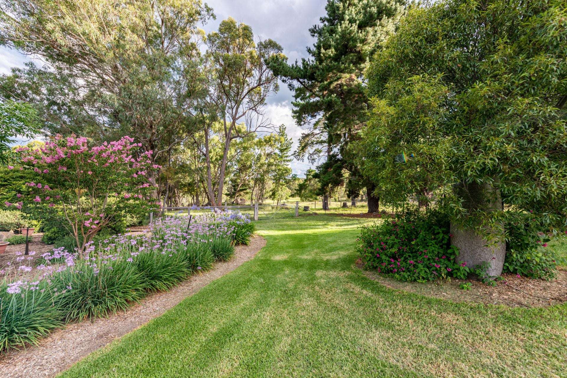 555 Thorndale Road, Stanthorpe For Sale by Farmbuy.com - image 5