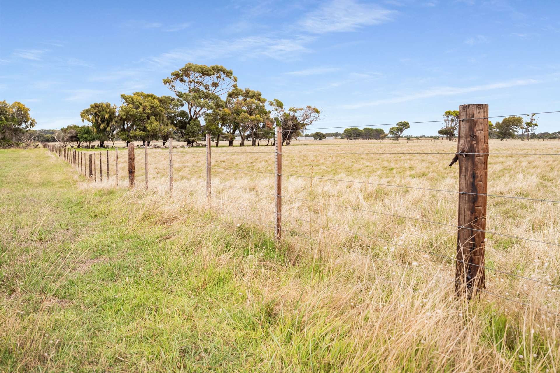 4437 Southern Ports Highway, Robe For Sale by Farmbuy.com - image 35