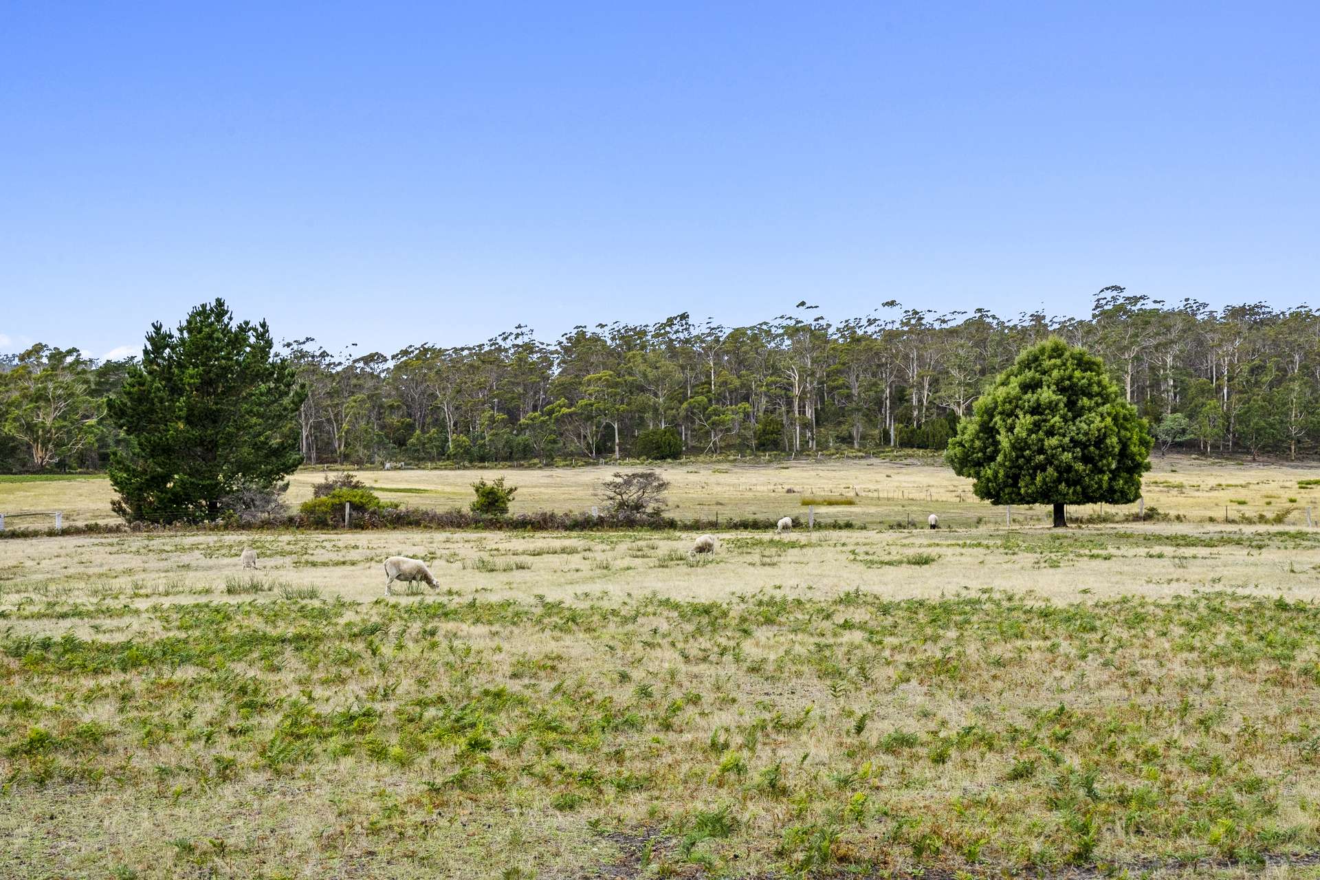 45 Kelletts Road, Sloping Main For Sale by Farmbuy.com - image 29