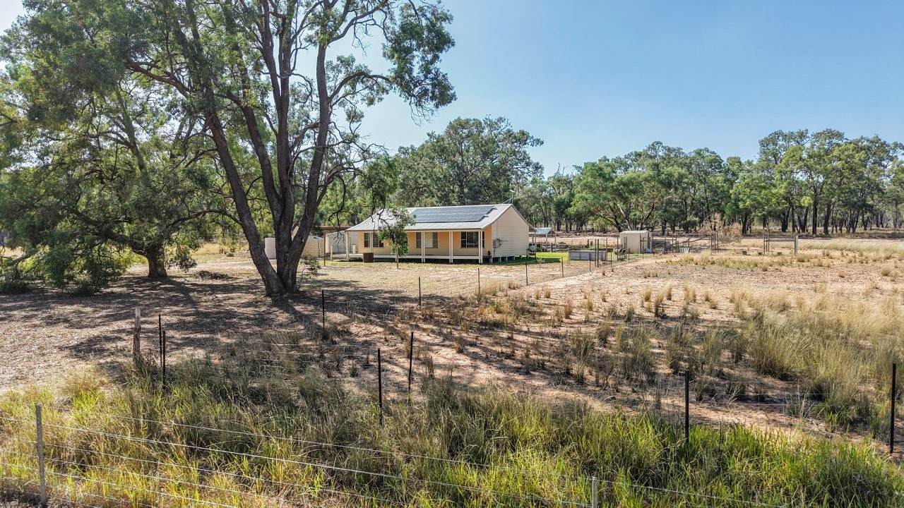 136 Bilamurru Road, Mendooran For Sale by Farmbuy.com - image 1