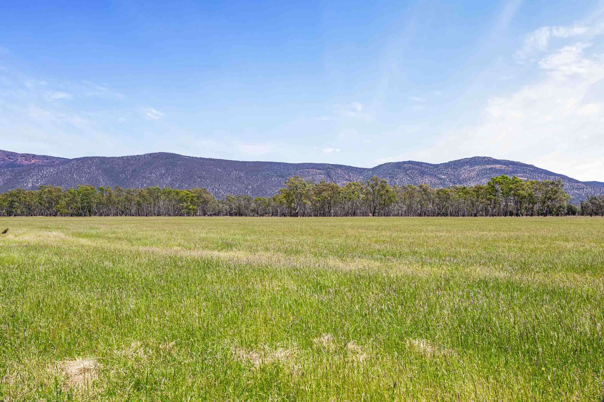 2897 Ararat-Halls Gap Road, Pomonal For Sale by Farmbuy.com - image 28