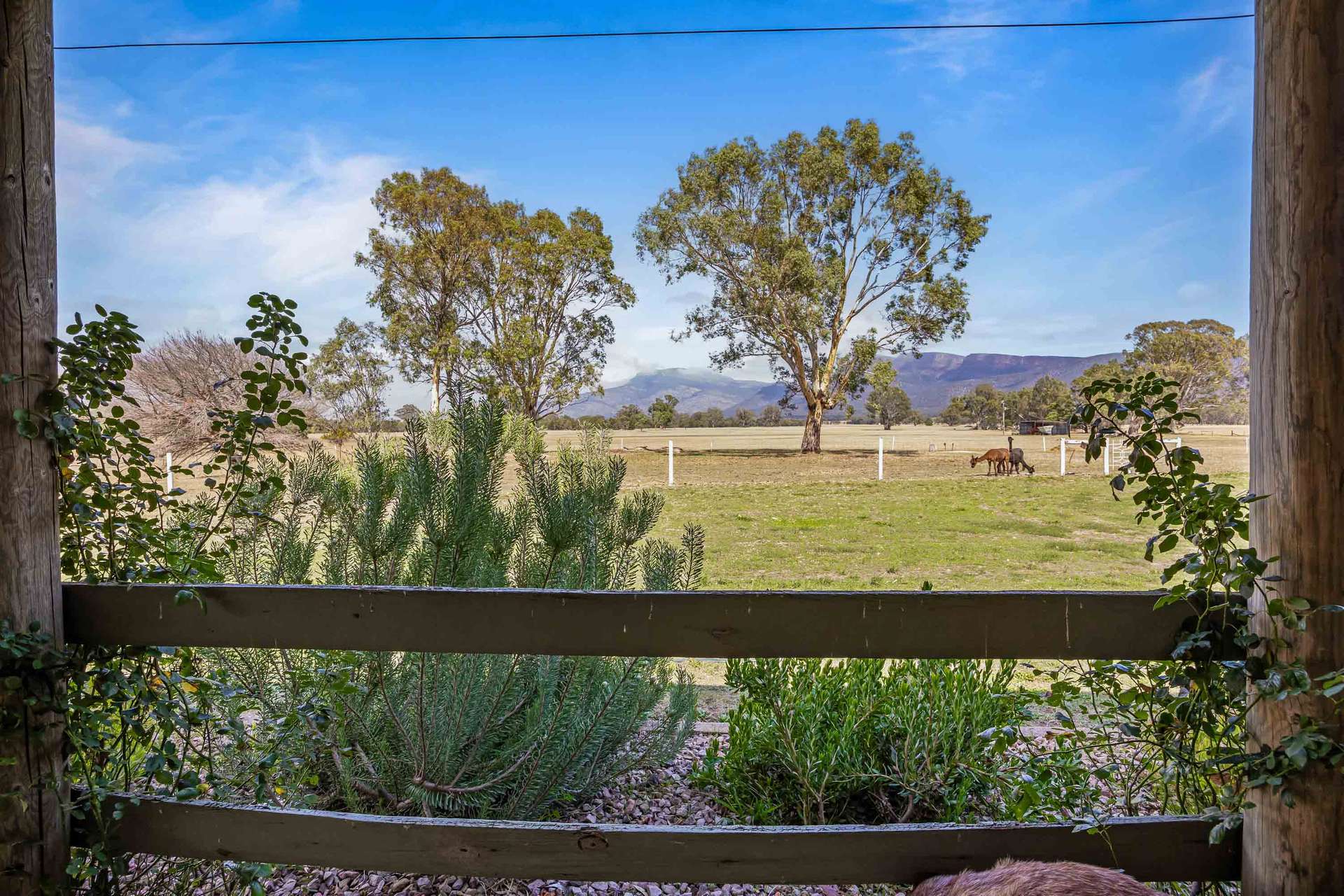 2897 Ararat-Halls Gap Road, Pomonal For Sale by Farmbuy.com - image 16