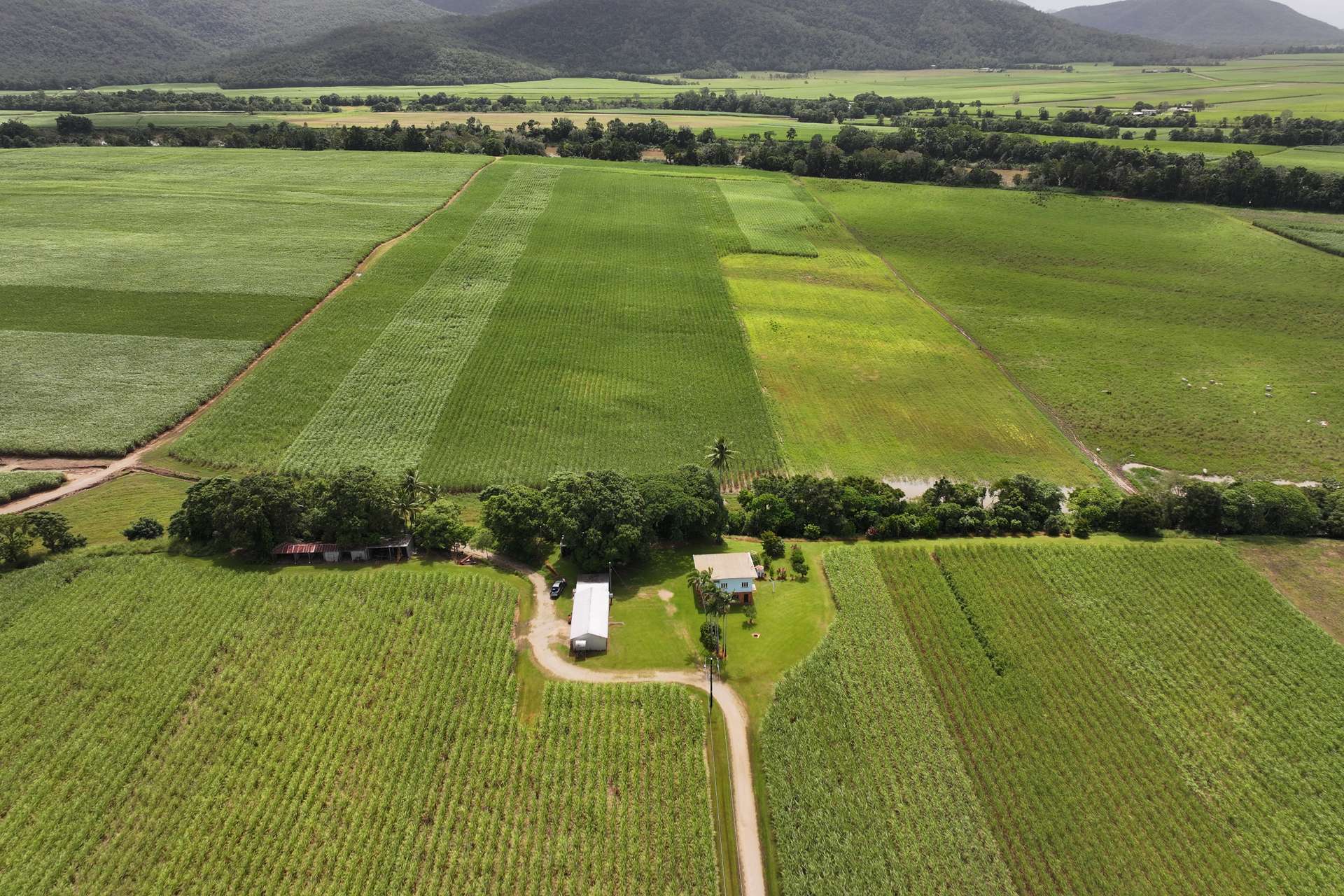 962 Abergowrie Road, Trebonne For Sale by Farmbuy.com - image 6
