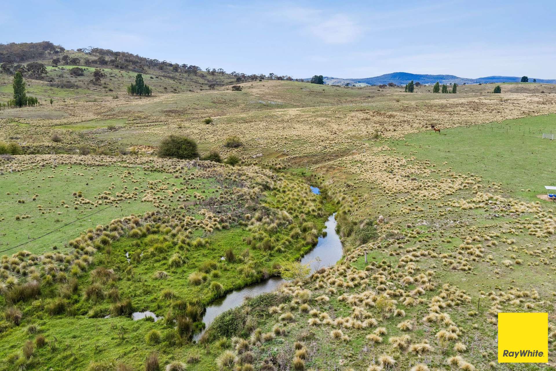 1/55 Daniel Lane, Forbes Creek For Sale by Farmbuy.com - image 27