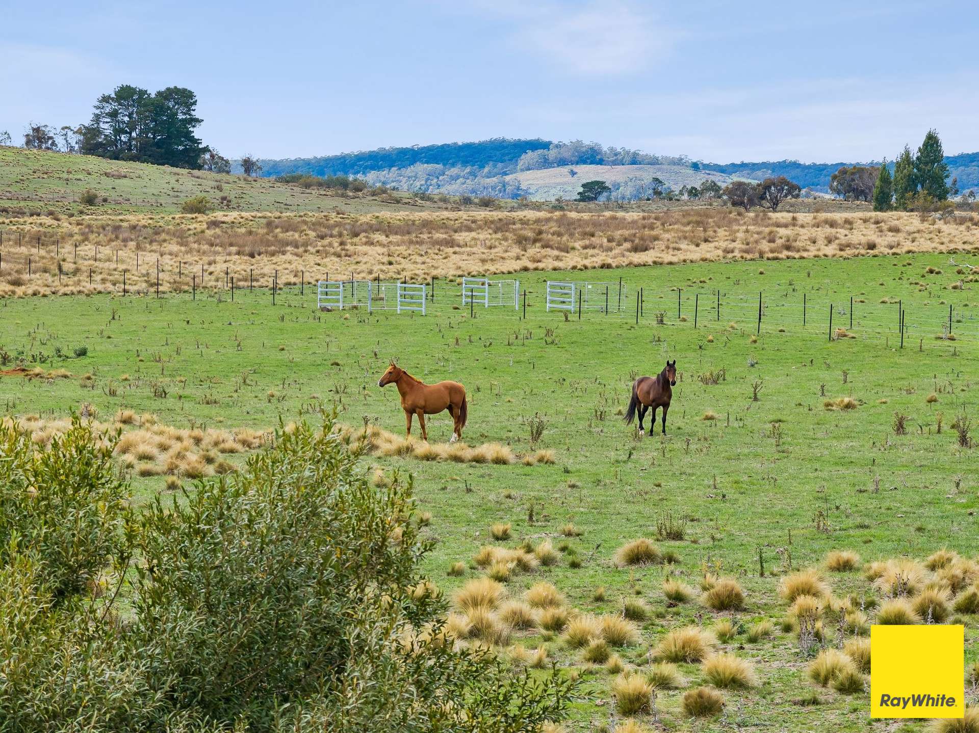 1/55 Daniel Lane, Forbes Creek For Sale by Farmbuy.com - image 31