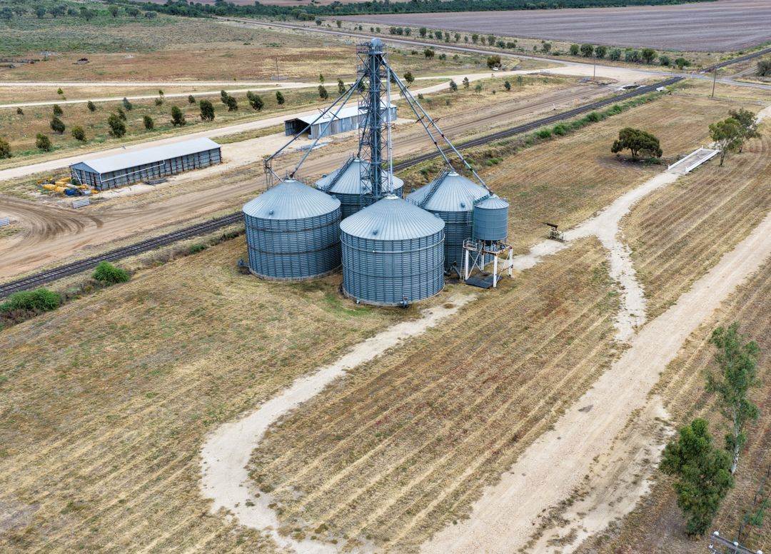 Rowena For Sale by Farmbuy.com - image 3