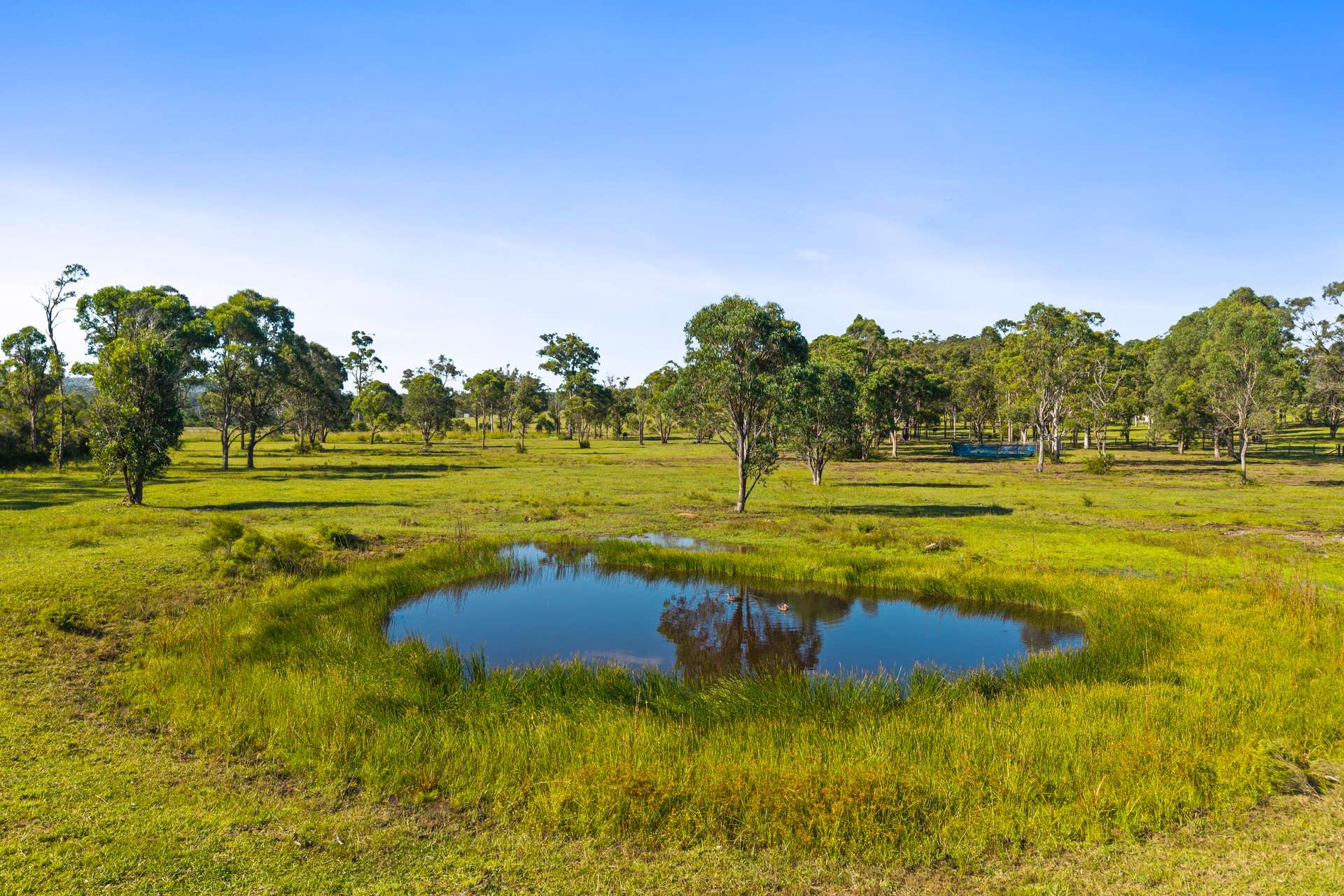 10A Cottesloe Road, Jilliby For Sale by Farmbuy.com - image 16