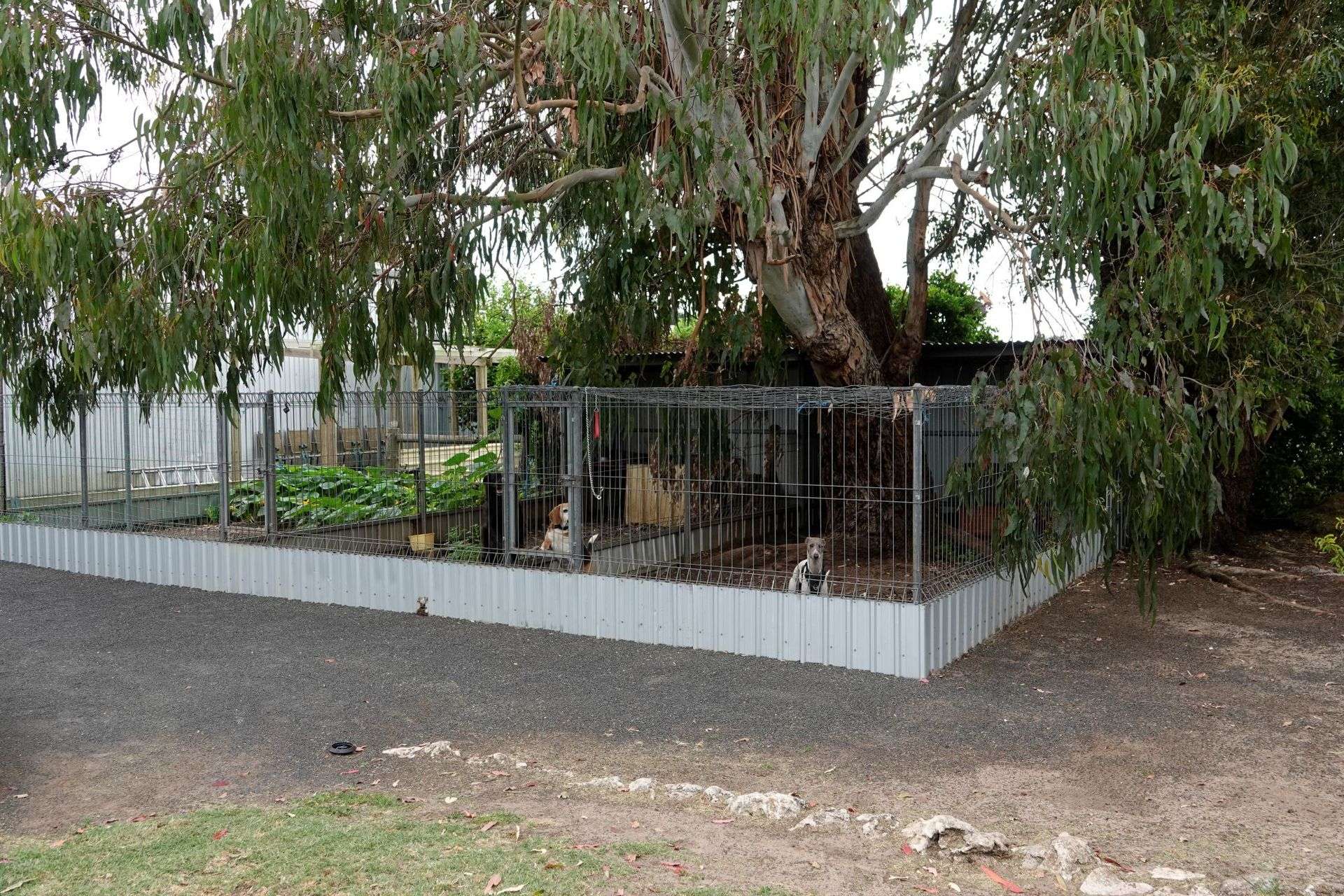 295 Caroline Headquarters Road, Yahl For Sale by Farmbuy.com - image 18