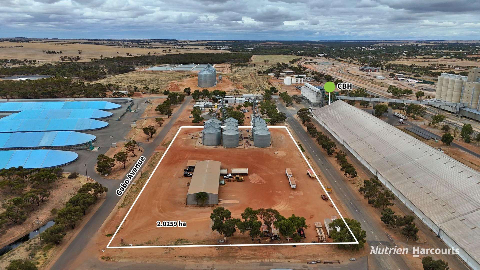 Lot 8 Gabo Avenue, Merredin For Sale by Farmbuy.com - image 4