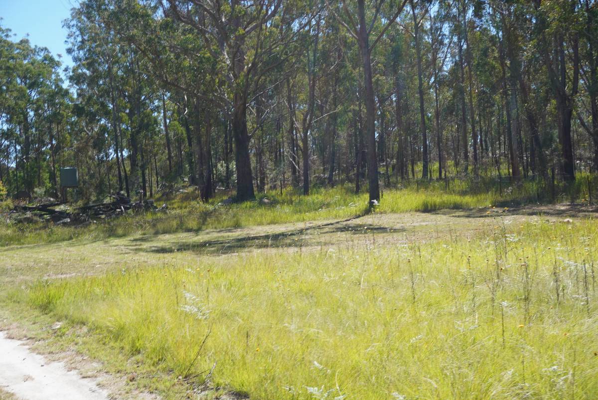 1293 Mount Lindesay Road, Tenterfield For Sale by Farmbuy.com - image 23