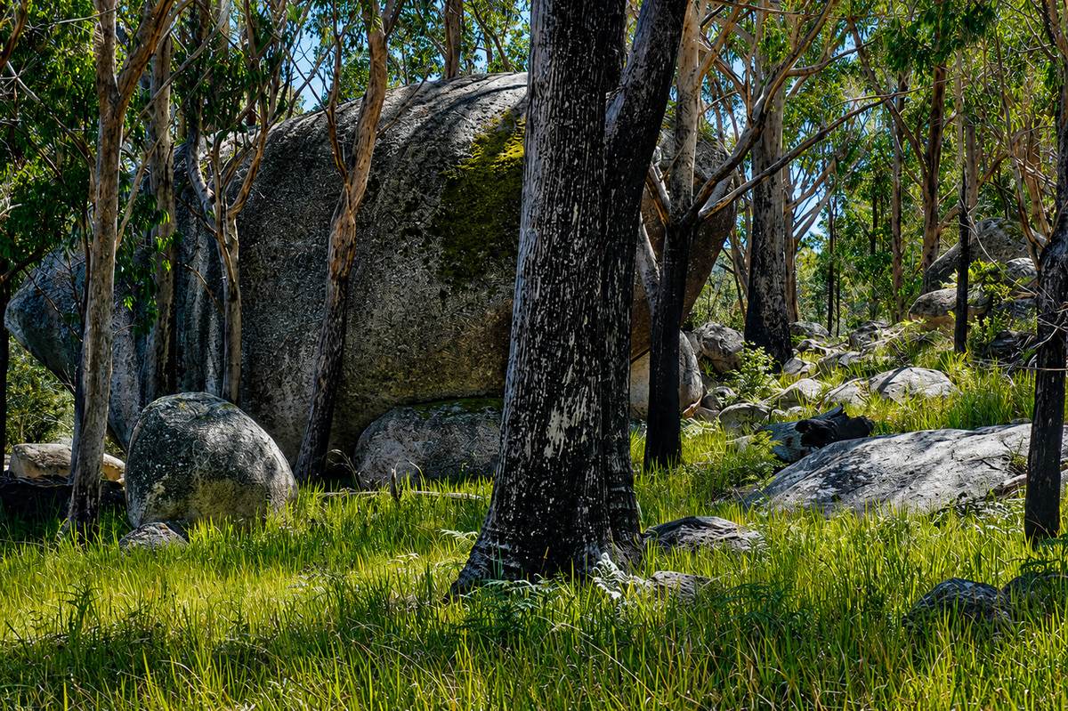 1293 Mount Lindesay Road, Tenterfield For Sale by Farmbuy.com - image 4