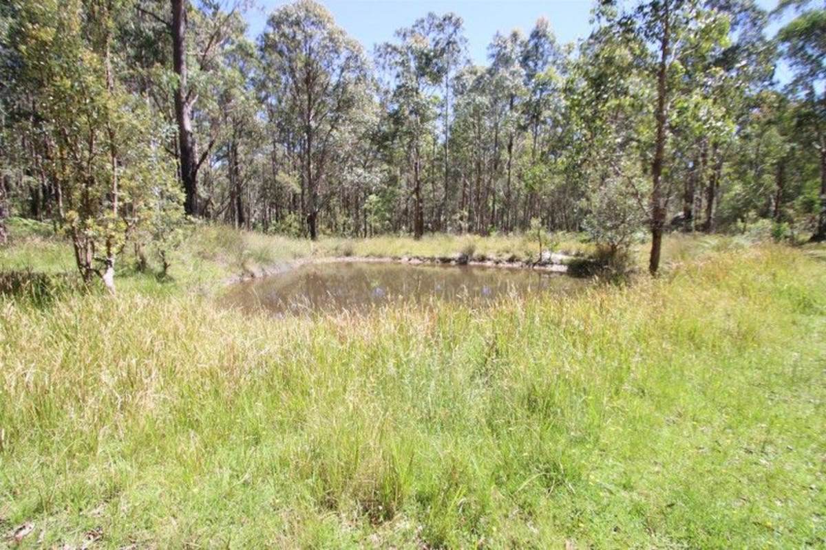 1293 Mount Lindesay Road, Tenterfield For Sale by Farmbuy.com - image 22