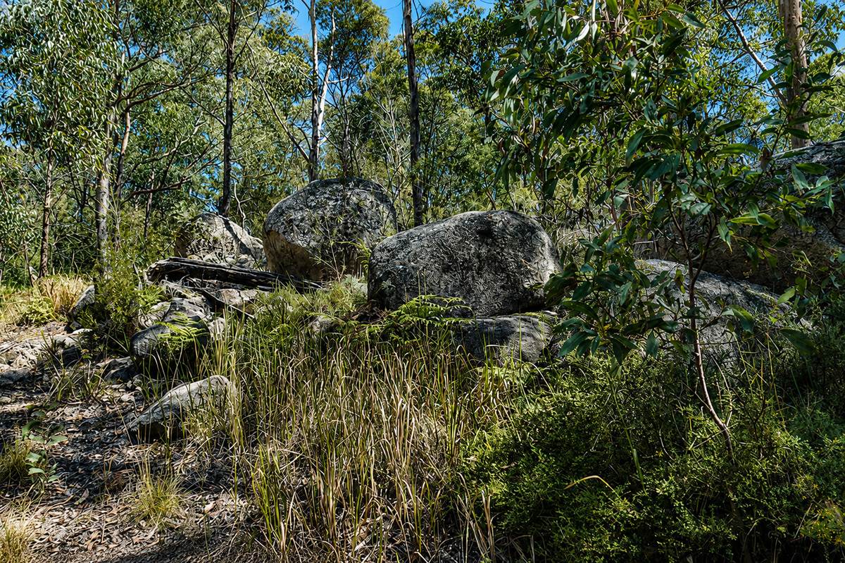 1293 Mount Lindesay Road, Tenterfield For Sale by Farmbuy.com - image 24