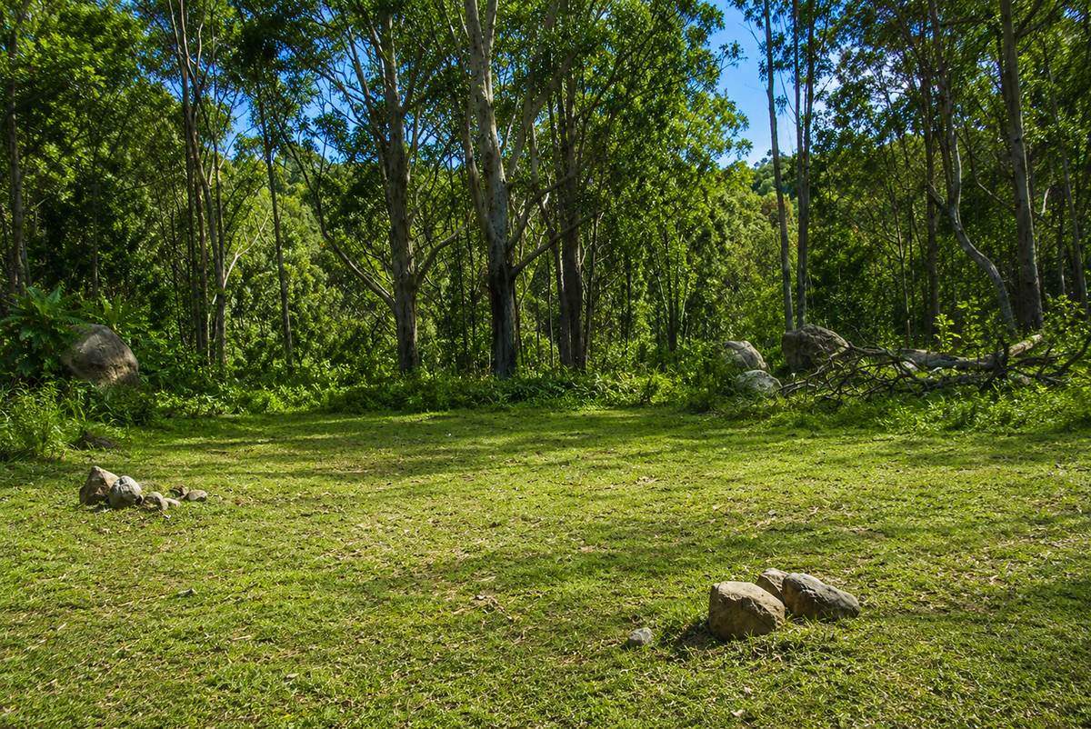 1293 Mount Lindesay Road, Tenterfield For Sale by Farmbuy.com - image 25