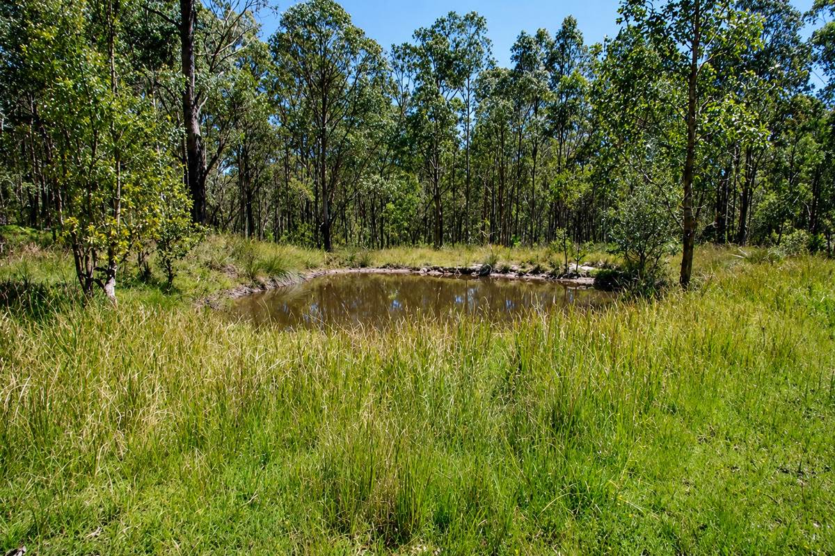 1293 Mount Lindesay Road, Tenterfield For Sale by Farmbuy.com - image 30