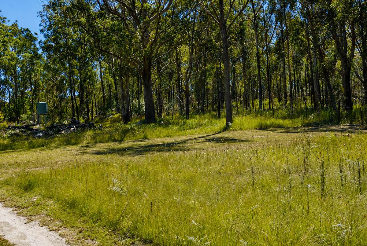 1293 Mount Lindesay Road, Tenterfield For Sale by Farmbuy.com - image 29