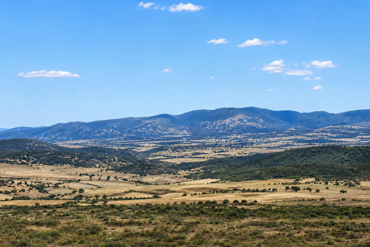 1293 Mount Lindesay Road, Tenterfield For Sale by Farmbuy.com - image 34