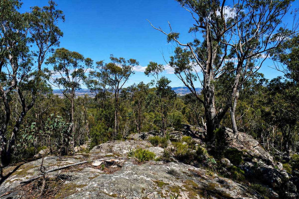 1293 Mount Lindesay Road, Tenterfield For Sale by Farmbuy.com - image 9