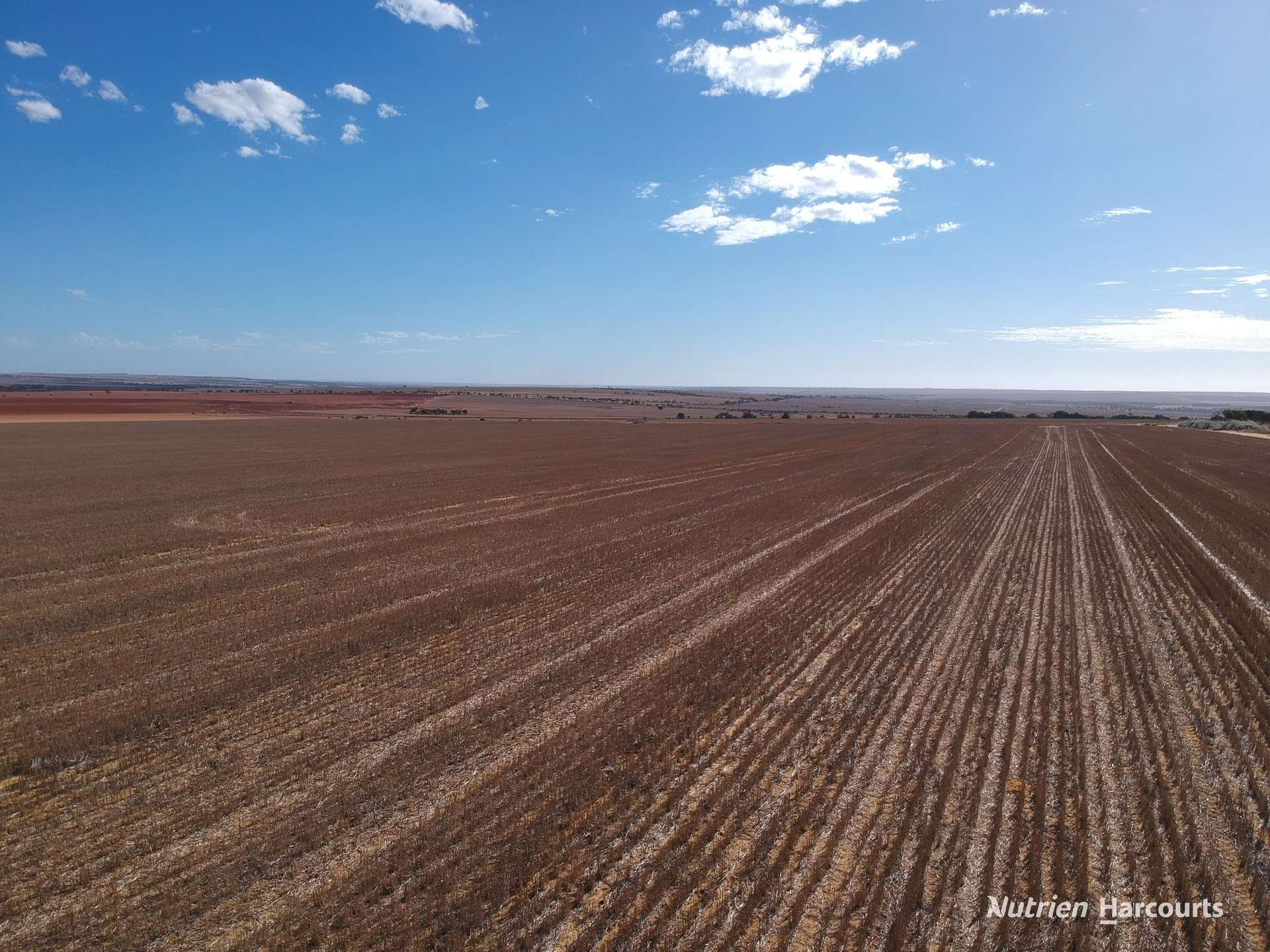 . McRoberts Road, Tenindewa For Sale by Farmbuy.com - image 11