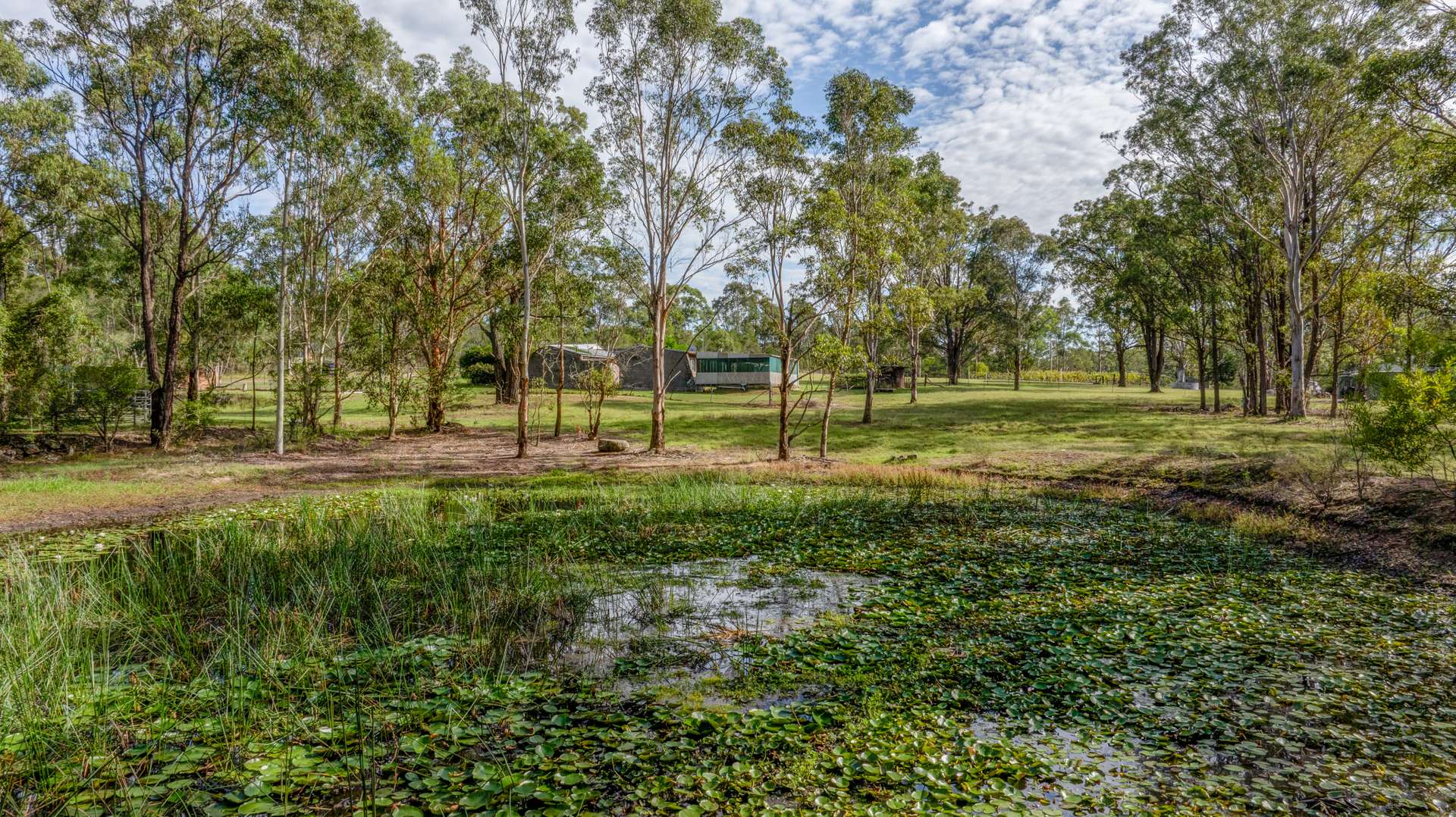 628 Limeburners Creek Road, Clarence Town Sold by Farmbuy.com - image 8