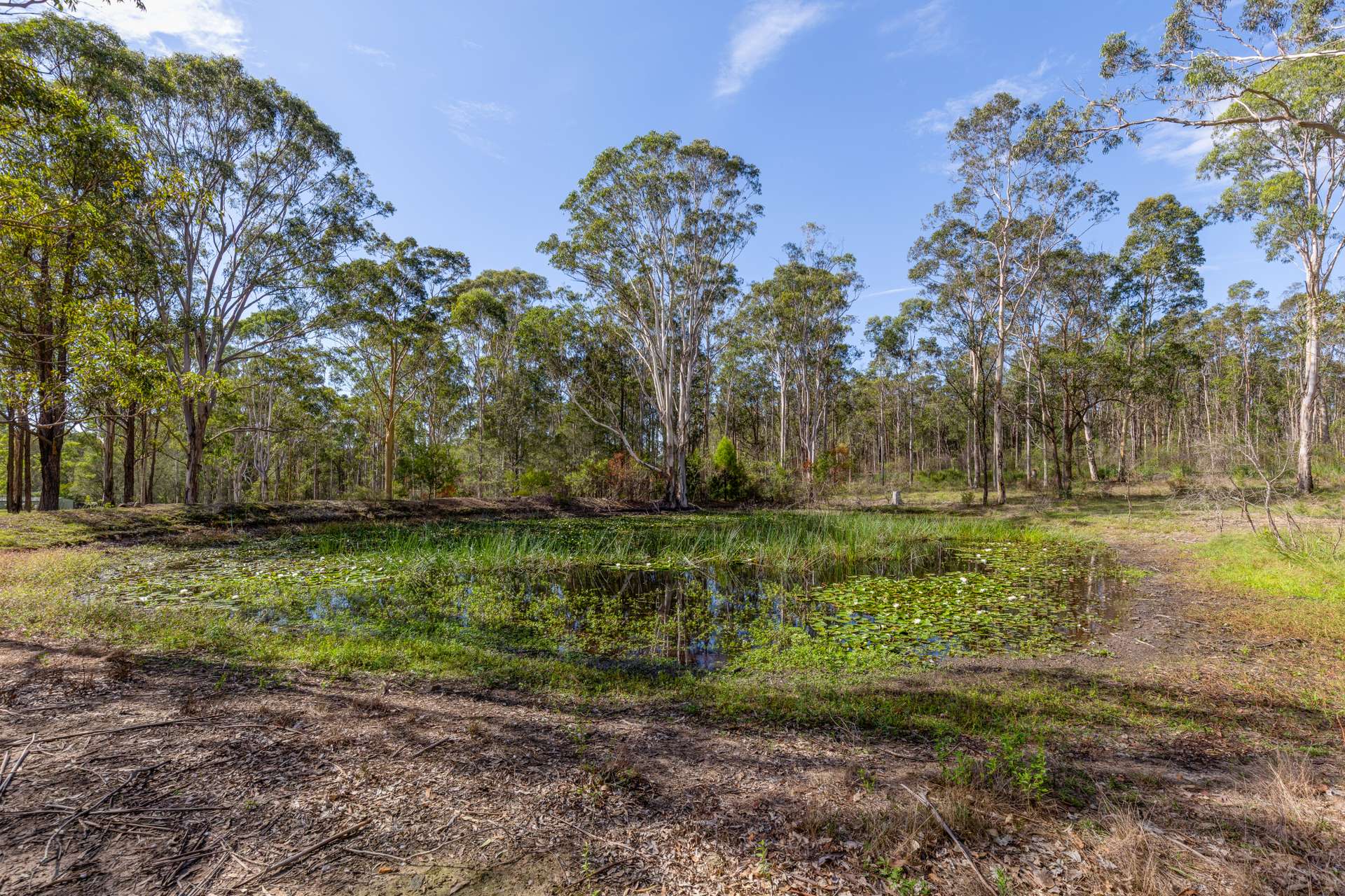 628 Limeburners Creek Road, Clarence Town Sold by Farmbuy.com - image 17