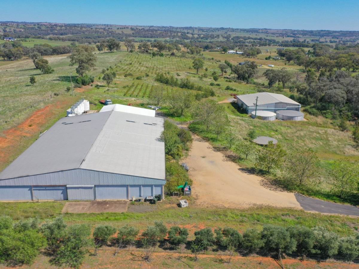 285 Henry Lawson Way, Young For Sale by Farmbuy.com - image 1