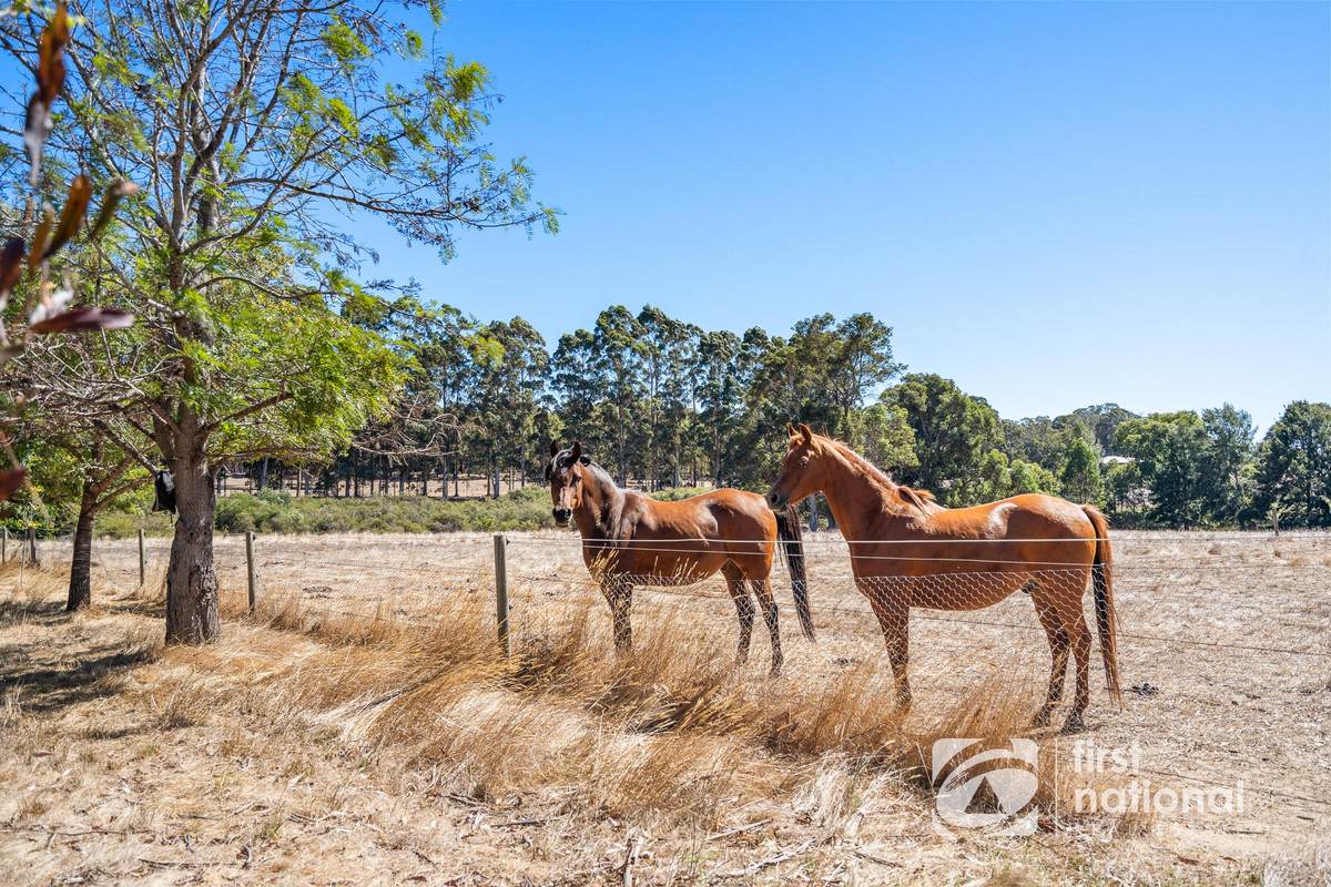 1793 Rosa Brook Road, Rosa Brook For Sale by Farmbuy.com - image 28