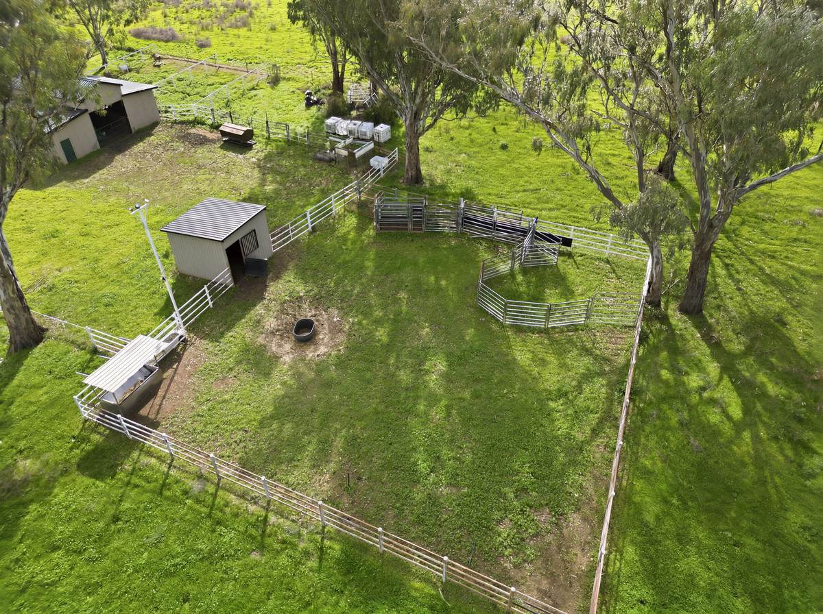 'Kentucky Downs' 306 Orange Grove Road, Gunnedah For Sale by Farmbuy.com - image 24