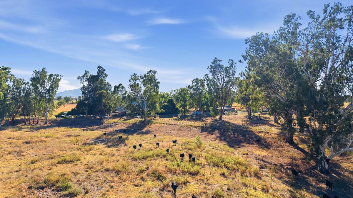 'Kentucky Downs' 306 Orange Grove Road, Gunnedah For Sale by Farmbuy.com - image 25