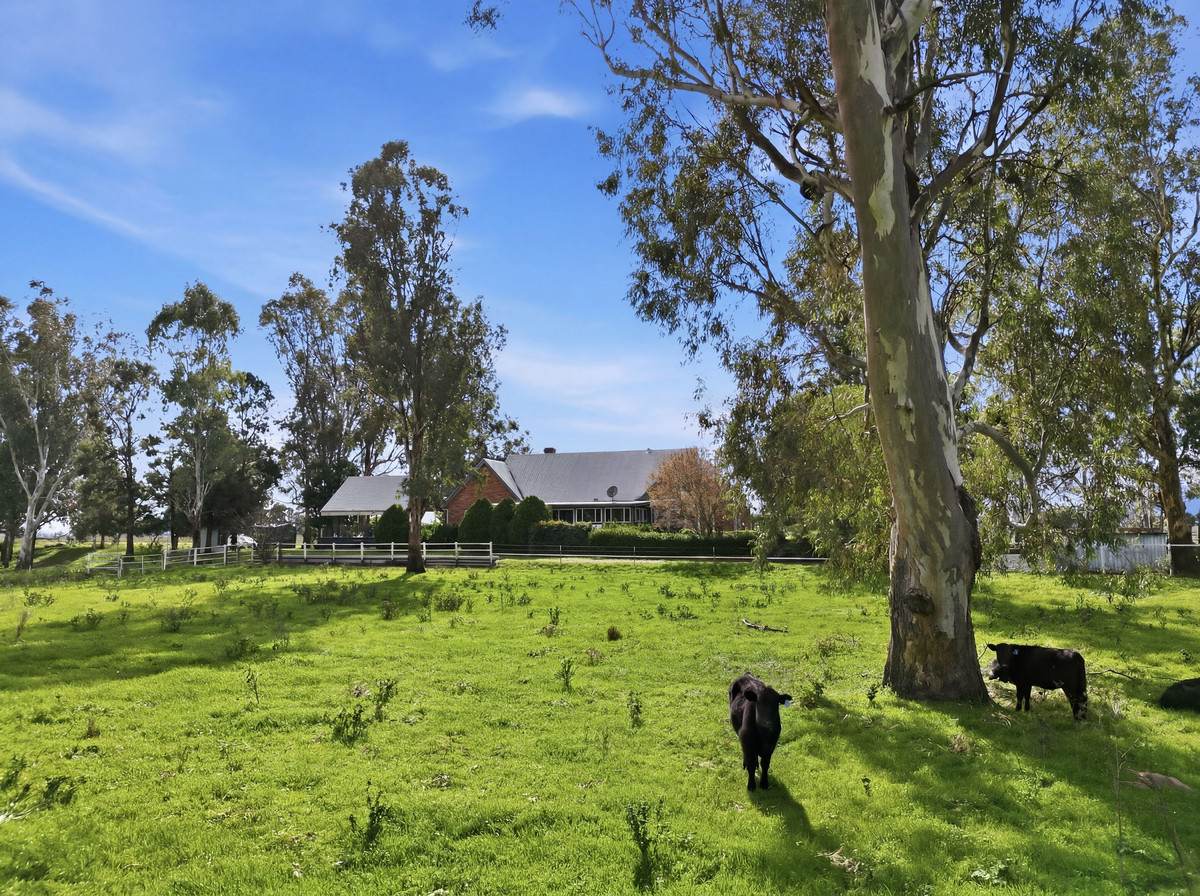 'Kentucky Downs' 306 Orange Grove Road, Gunnedah For Sale by Farmbuy.com - image 22