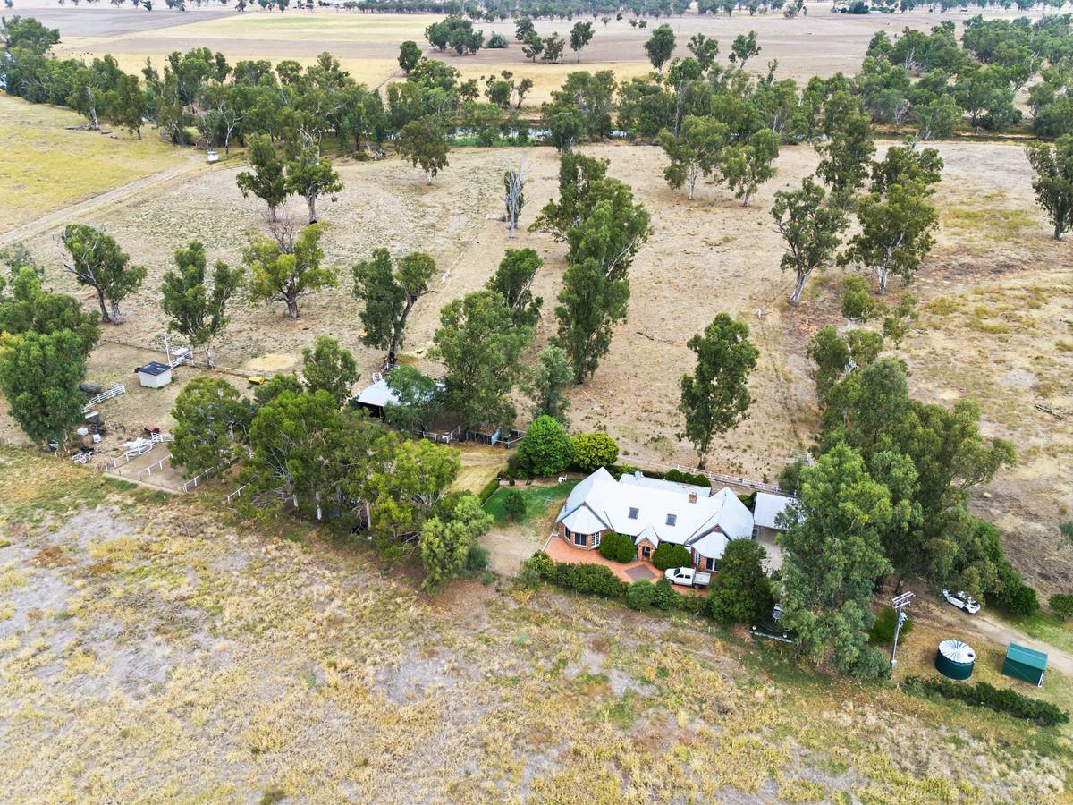 'Kentucky Downs' 306 Orange Grove Road, Gunnedah For Sale by Farmbuy.com - image 4
