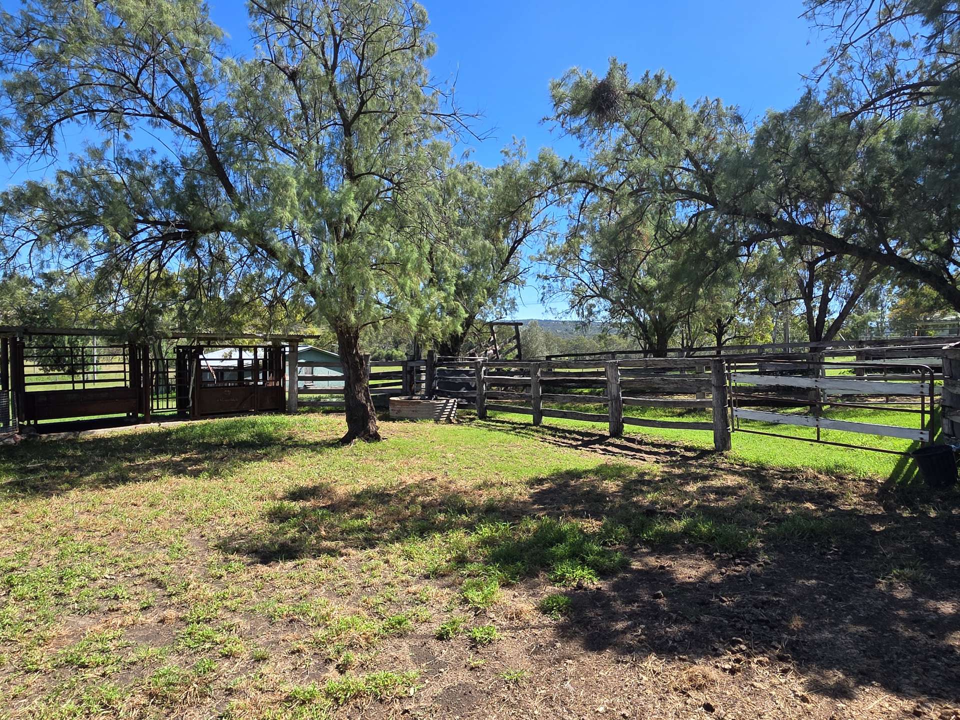 160 Rocky Gully Road, Crows Nest For Sale by Farmbuy.com - image 10