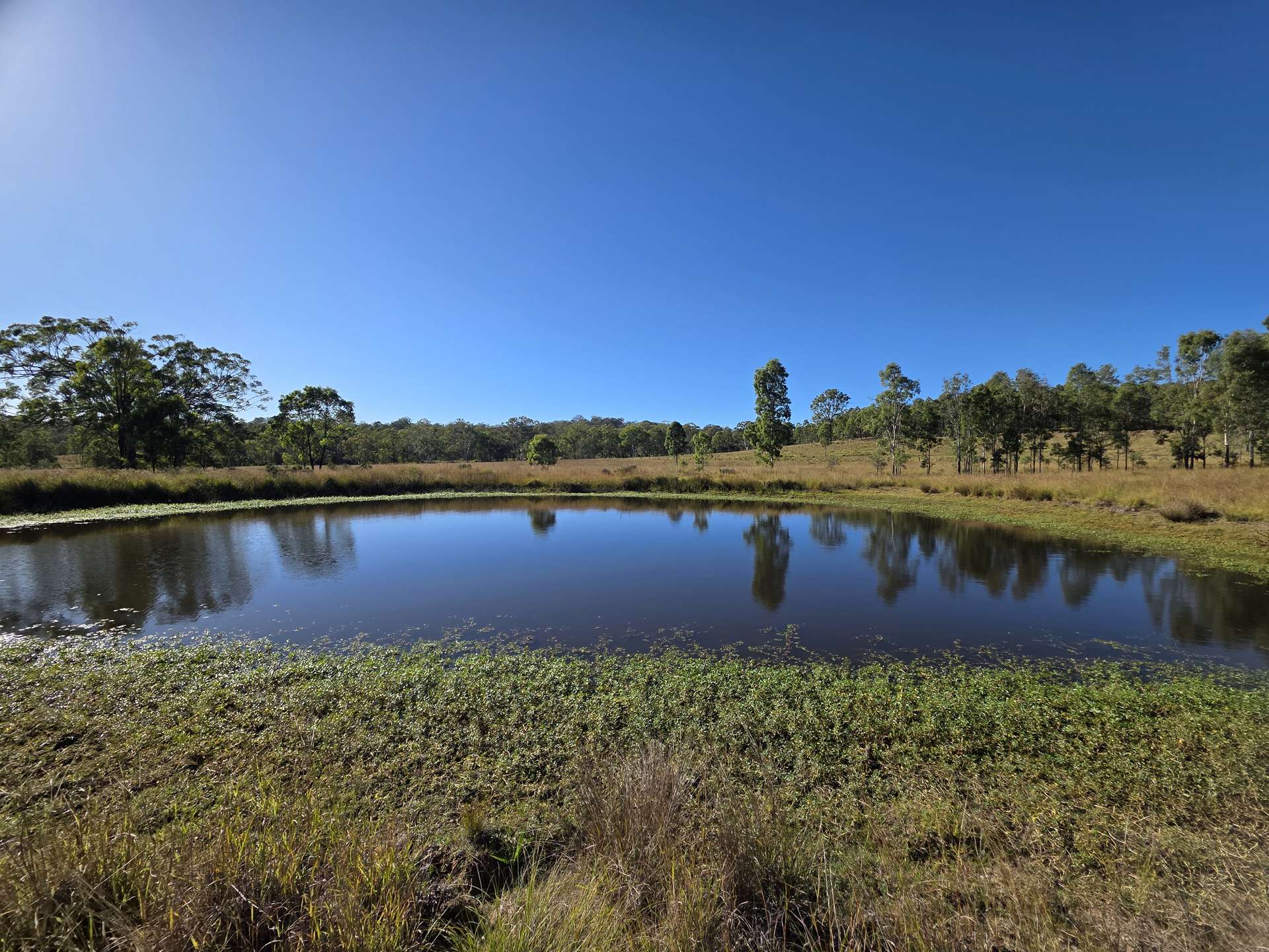160 Rocky Gully Road, Crows Nest For Sale by Farmbuy.com - image 11