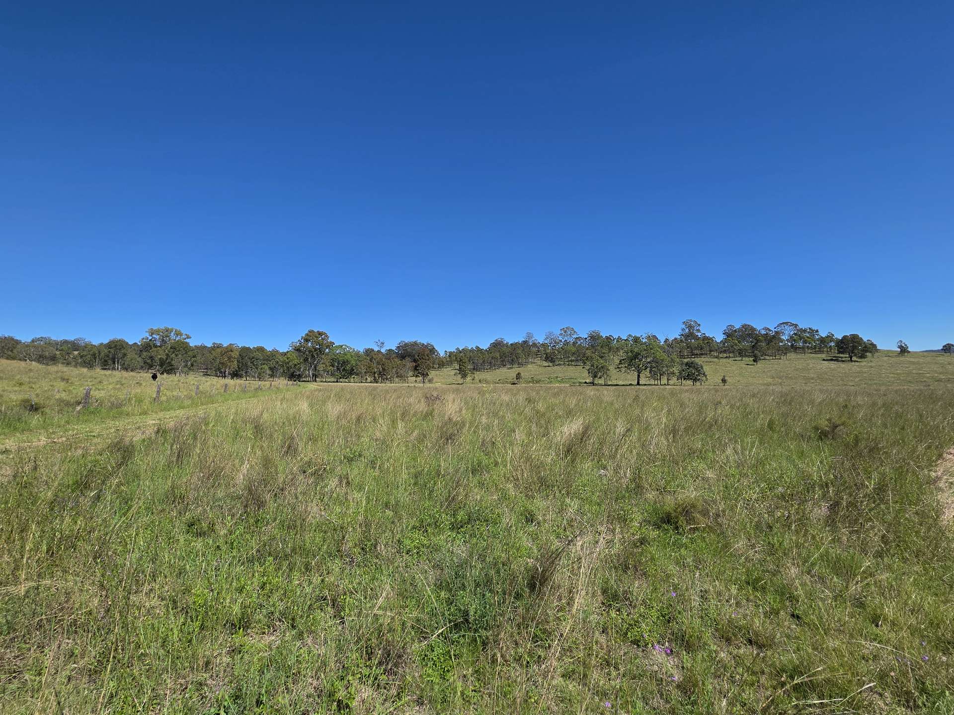 160 Rocky Gully Road, Crows Nest For Sale by Farmbuy.com - image 15