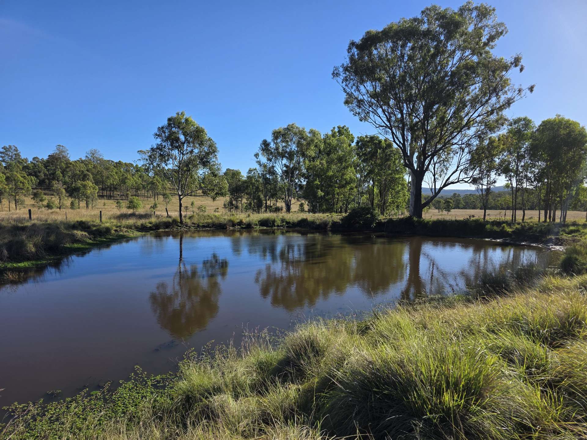 160 Rocky Gully Road, Crows Nest For Sale by Farmbuy.com - image 9