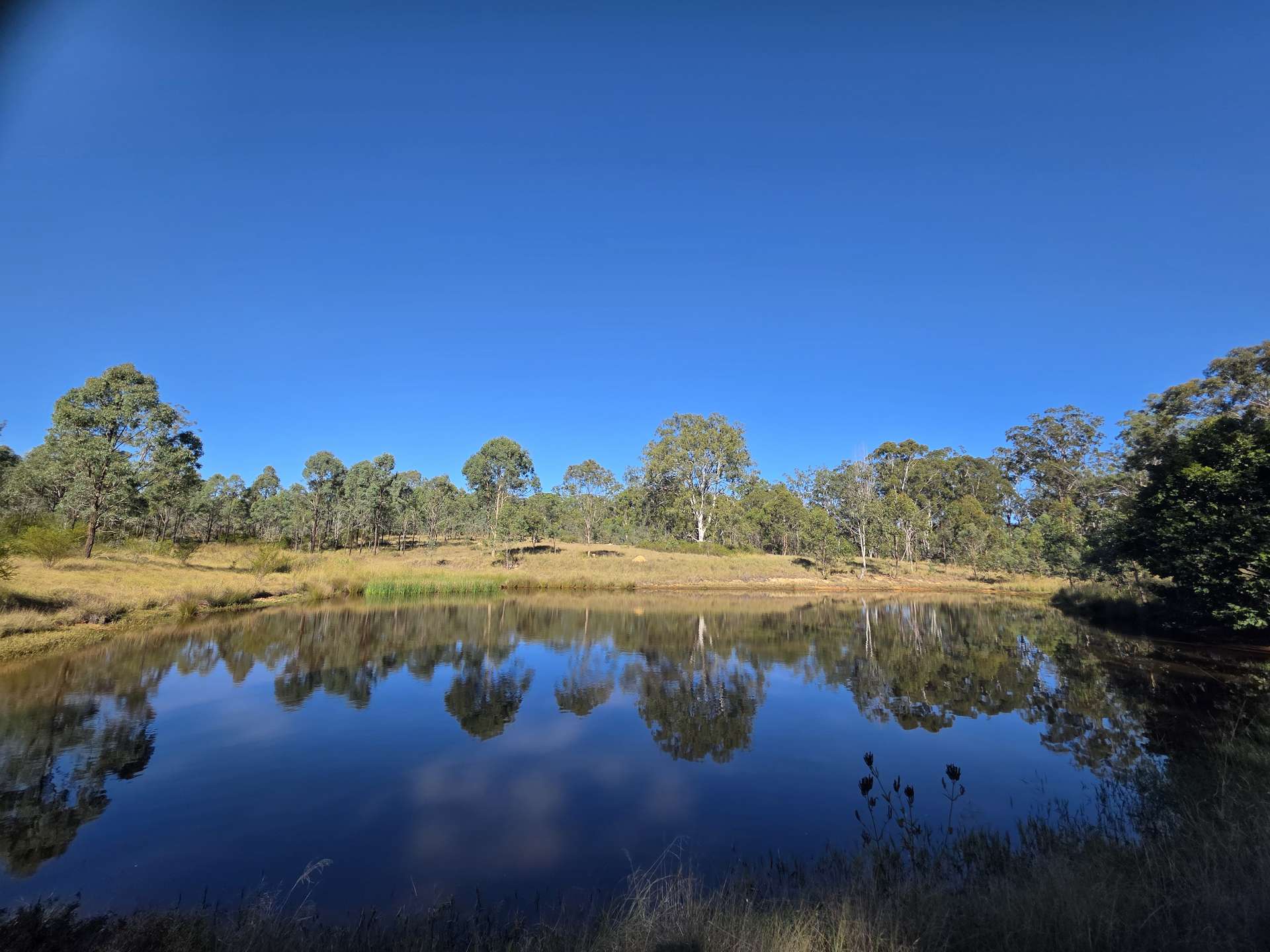 160 Rocky Gully Road, Crows Nest For Sale by Farmbuy.com - image 13