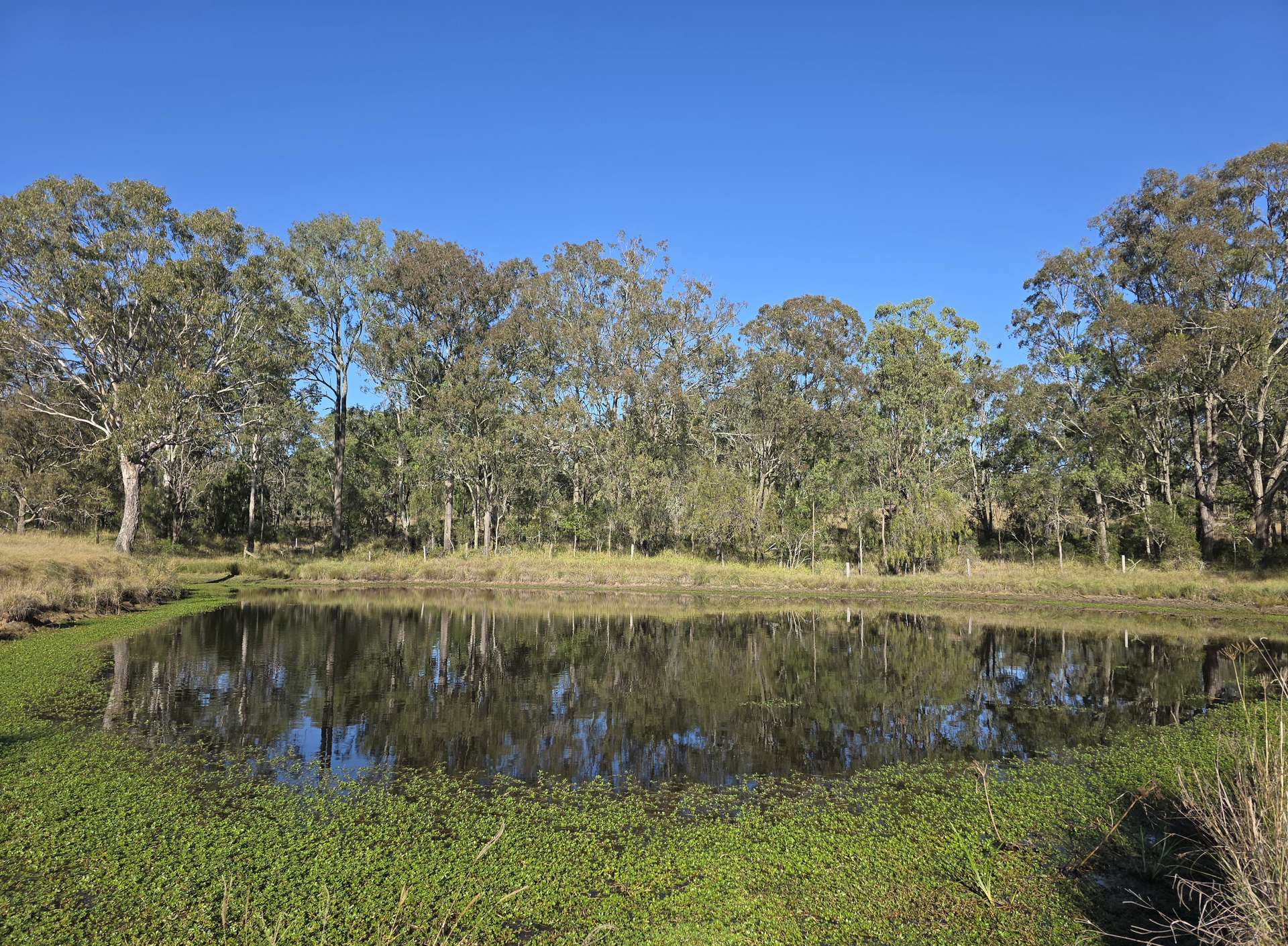 160 Rocky Gully Road, Crows Nest For Sale by Farmbuy.com - image 14