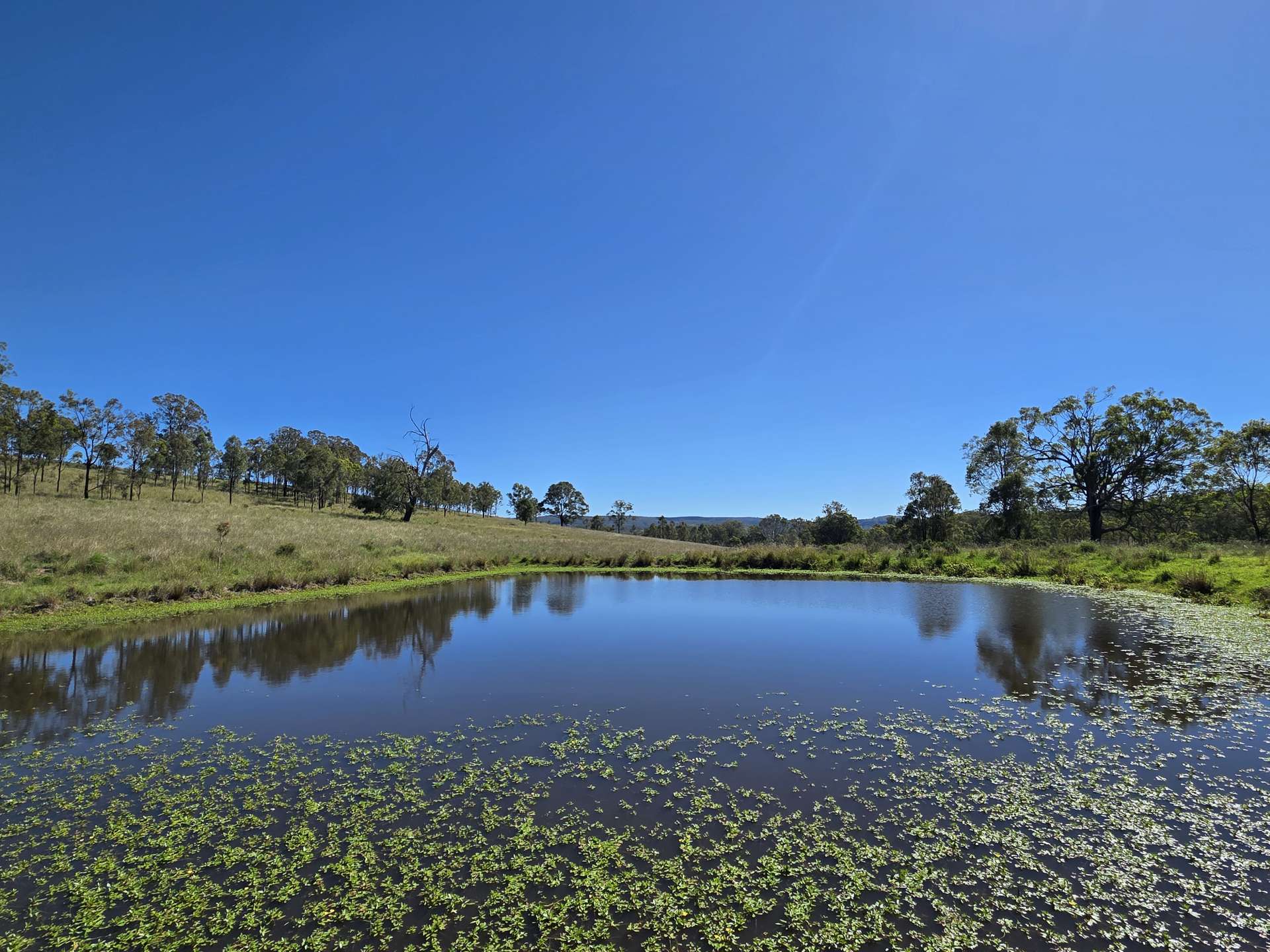 160 Rocky Gully Road, Crows Nest For Sale by Farmbuy.com - image 7