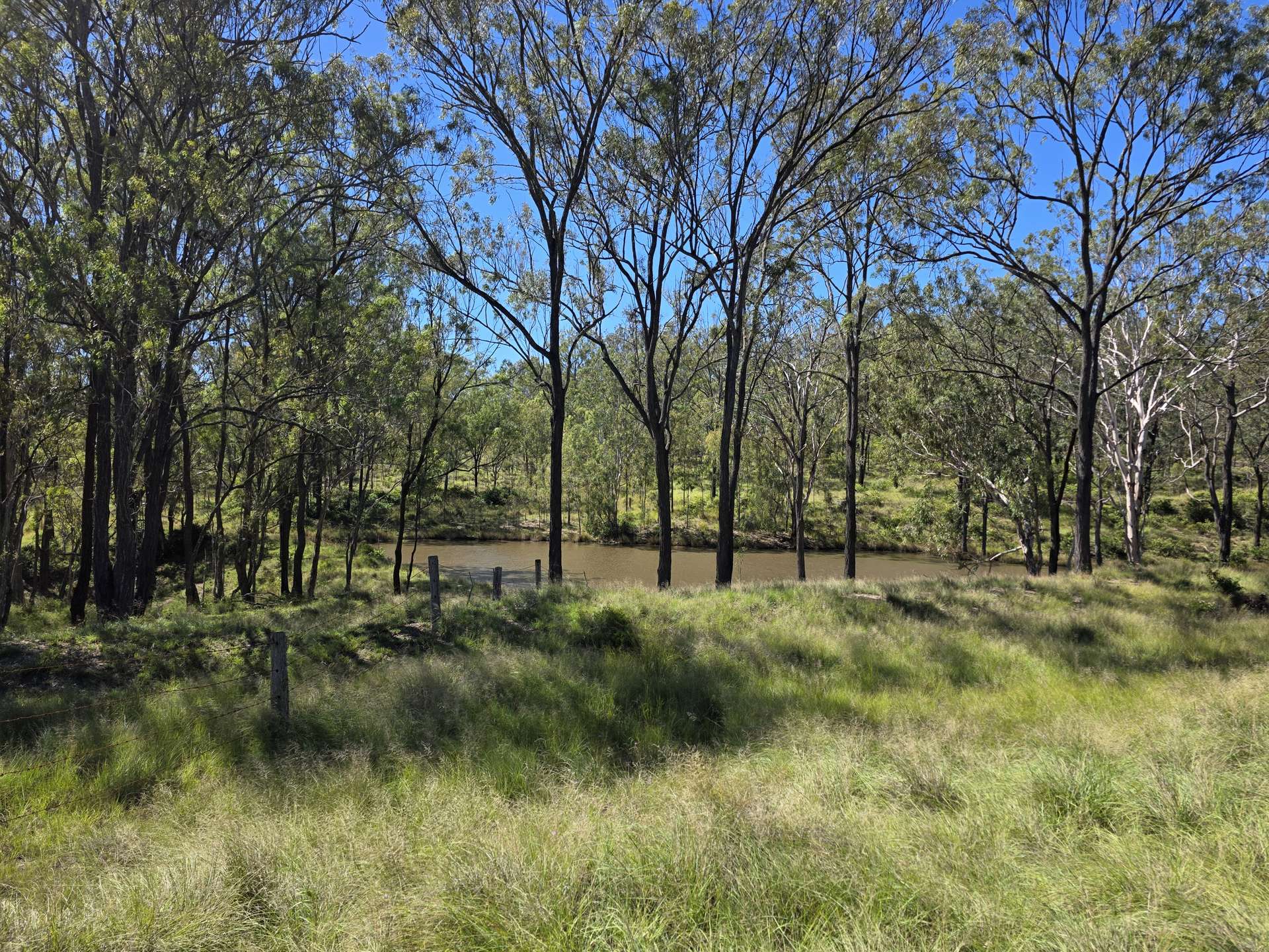 160 Rocky Gully Road, Crows Nest For Sale by Farmbuy.com - image 16