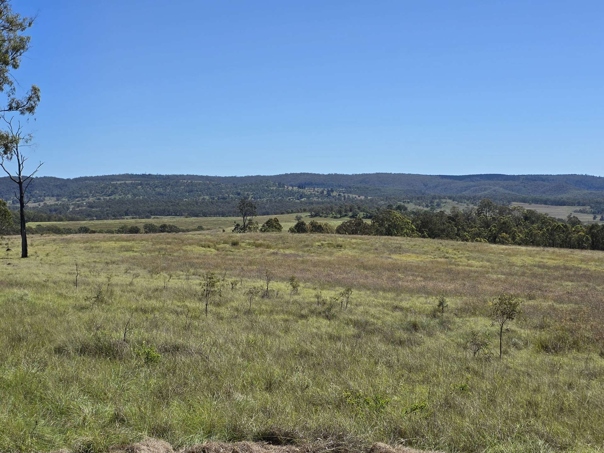 160 Rocky Gully Road, Crows Nest For Sale by Farmbuy.com - image 33