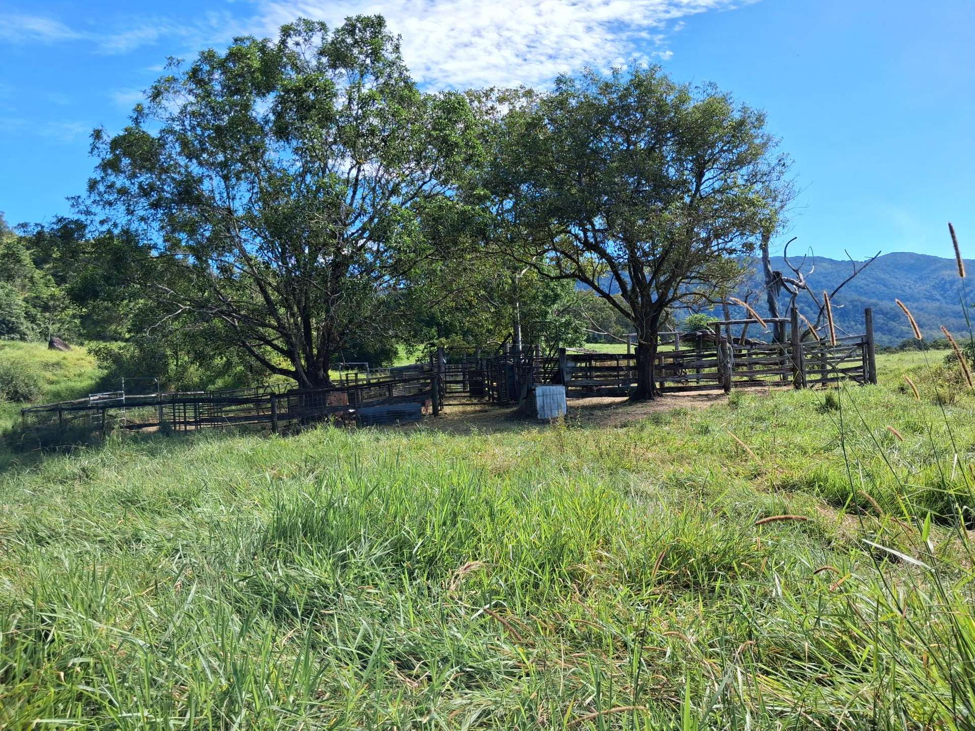 Finch Hatton For Sale by Farmbuy.com - image 22