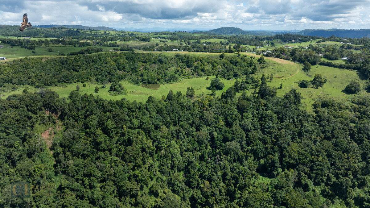 Lot 23, 24 And 25,  Binna Burra Road, Beechmont For Sale by Farmbuy.com - image 8
