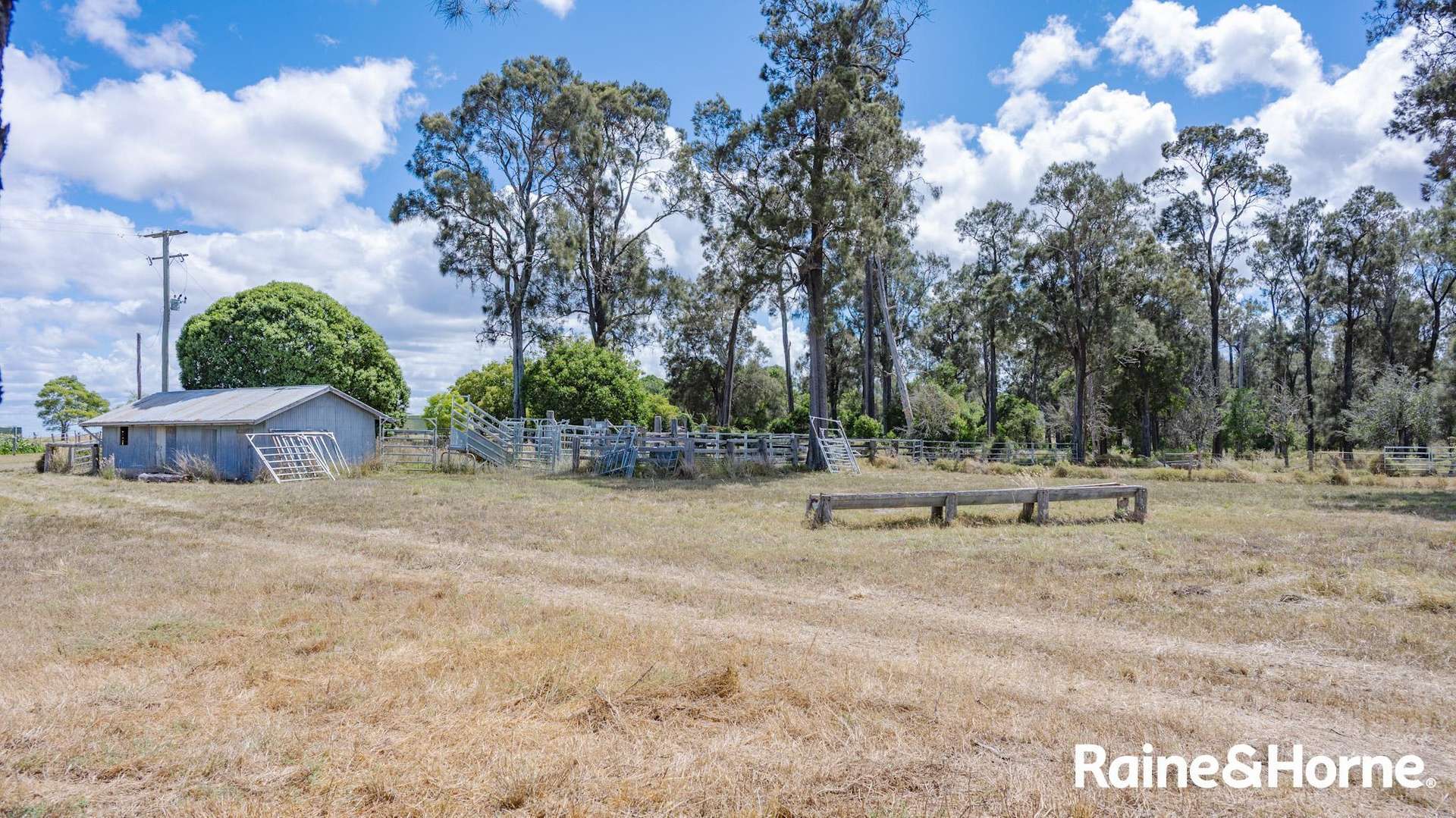 104 Gillespie Road, Freestone For Sale by Farmbuy.com - image 26
