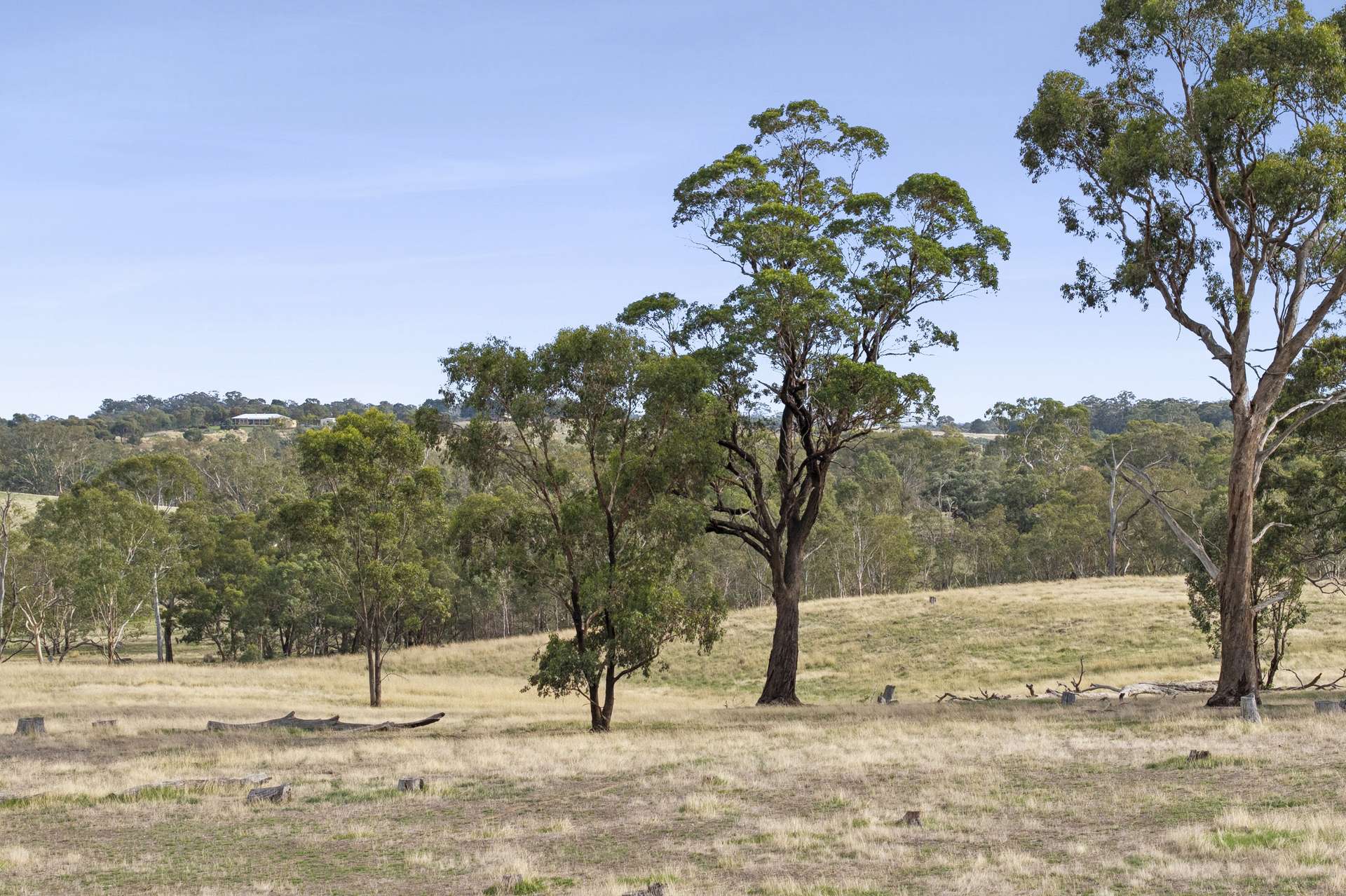 405A Heathcote-East Baynton Road, Heathcote For Sale by Farmbuy.com - image 6