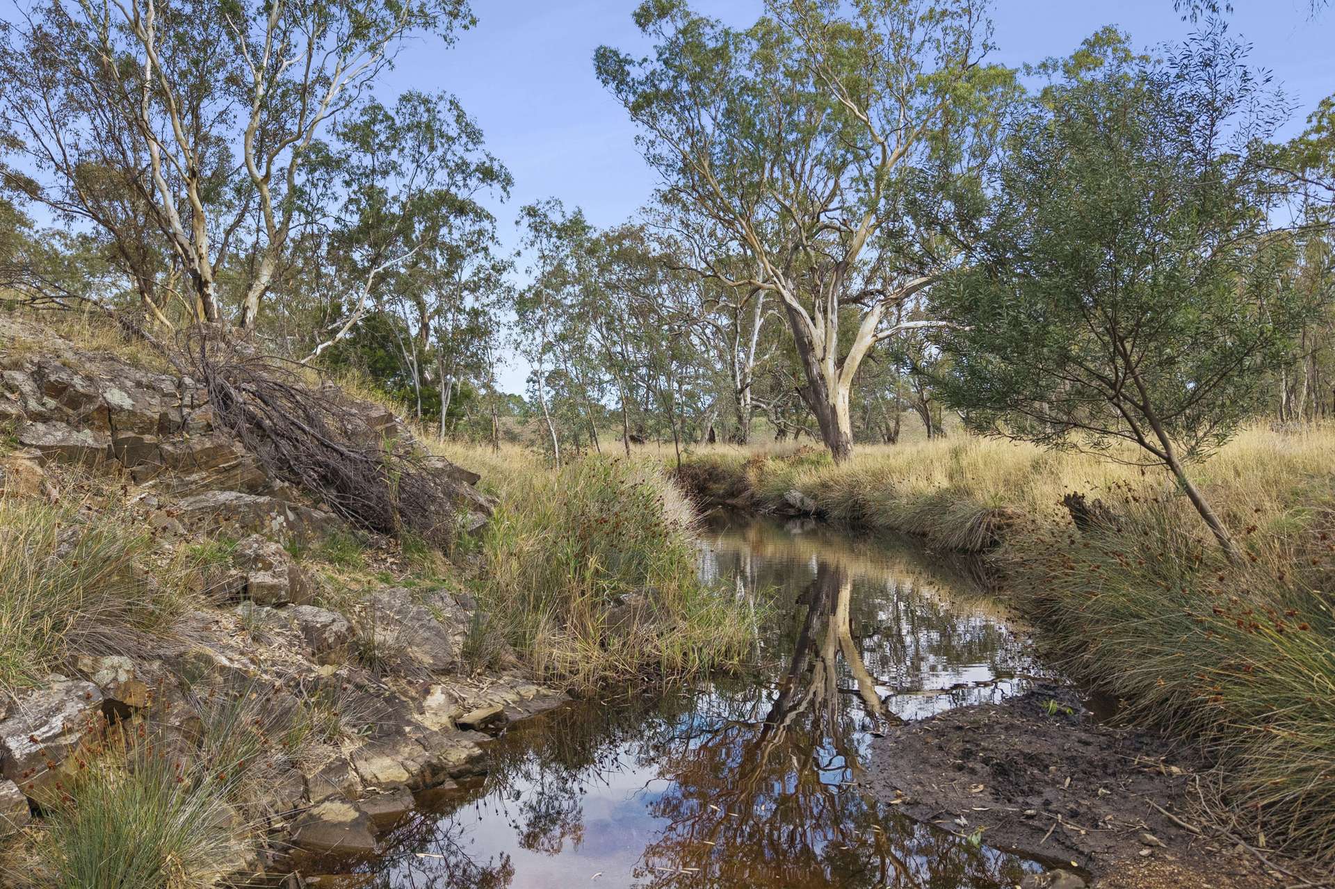 405A Heathcote-East Baynton Road, Heathcote For Sale by Farmbuy.com - image 4