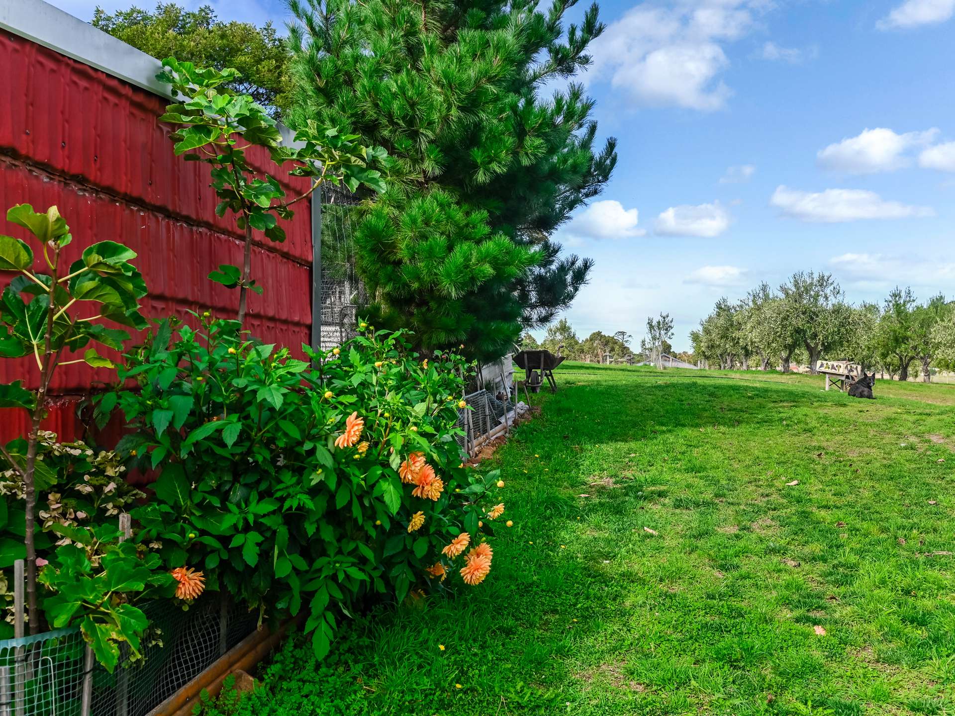 173 Tea Tree Road, Brighton For Sale by Farmbuy.com - image 22
