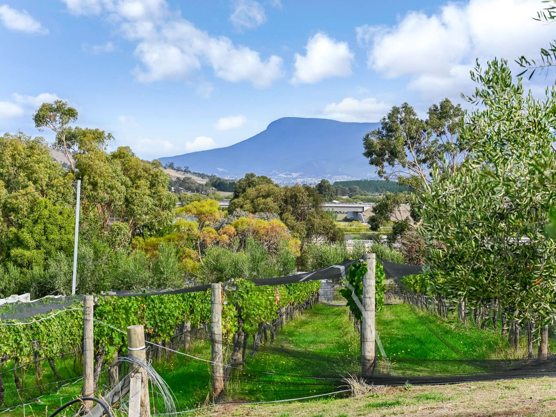 173 Tea Tree Road, Brighton For Sale by Farmbuy.com - image 5