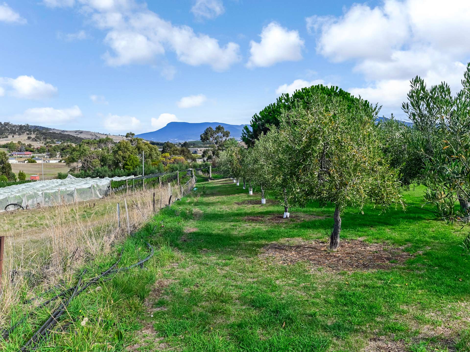 173 Tea Tree Road, Brighton For Sale by Farmbuy.com - image 26